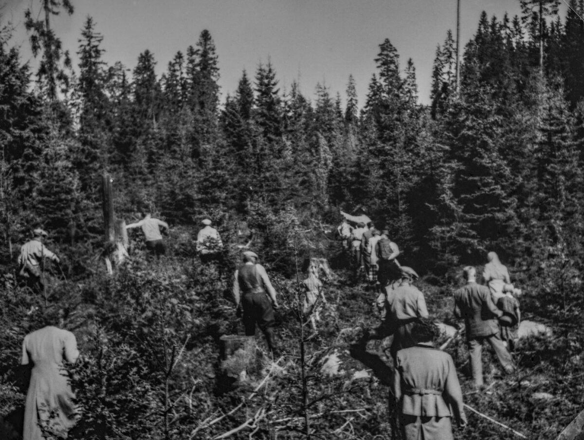 Lounais-Hämeen Luonnonsuojeluyhdistyksen juhlanäyttely Lounais-Hämeen Luonnonsuojeluyhdistyksen juhlanäyttely